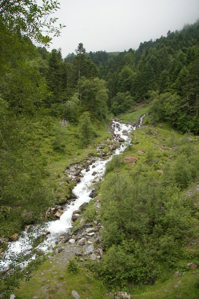 IMG_20140711_080403.jpg image